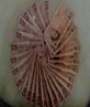 Another day, another few dollars!!