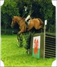 Aero....2006 Chepstow U18 championships!!