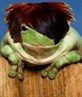 It's an emo frog...I named him Craig