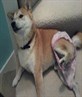 Finley, in some pink underwear....?!