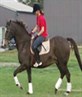 me on my horsey
