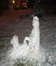 this was on my front garden HAHA