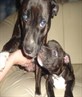 maffy & mona