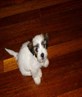 My baby Prince