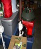 My cat Sam he one badass mofo