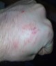 shoplifters bite!!