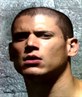 my dream man wentworth miller lol!