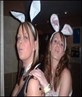 the posin bogroll bunny's lol (wot they like)