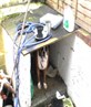 dog house