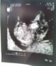 MY BABY DUE IN SEPTEMBER