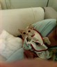 scraggy as a baby!hes a poser!!