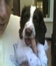 James puppy, Tod
