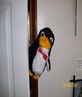 Mr Flibble is very mad...