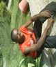 cool