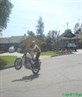 police bike wheelie