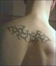 tribal tatoo