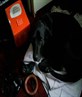 My Dog