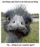 looks like someone i know hahahahaha and as nosey