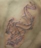 my newest tat