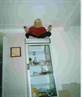 a climbed the fridge