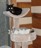 miffy and ditso snooozing!