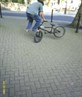 downside whip