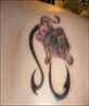 tatt