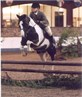 mr jumping spirit