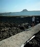 volcanic rock and lobos island in background