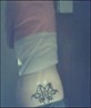 -x-My Tattoo-x-
