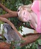 me and a koala in sydney OZ