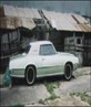 my69bird
