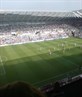 In box watching swans !
