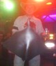 tight bastered dressed as steve irwin in fab