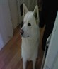 Keena