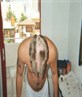 Shaving me head in Ko's 2006