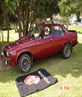 my holden torana
