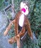 Mincky the Monkey HE LOVE YOU!!!