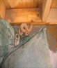 My Nice Lil Snake!