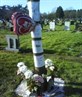 Lukes Tree - Valentines Day x