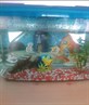 spungebob fish tank!