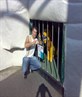 Caged animals