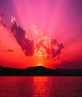 Sweet Photo