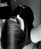 Mee x