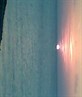 ibiza sunset cafe mambo
