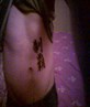 My Bod
