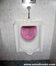 Female urinal