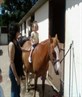 kelsie on one of my sisters horses