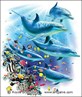 dolphins