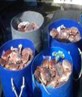 the bins at work still on the boat